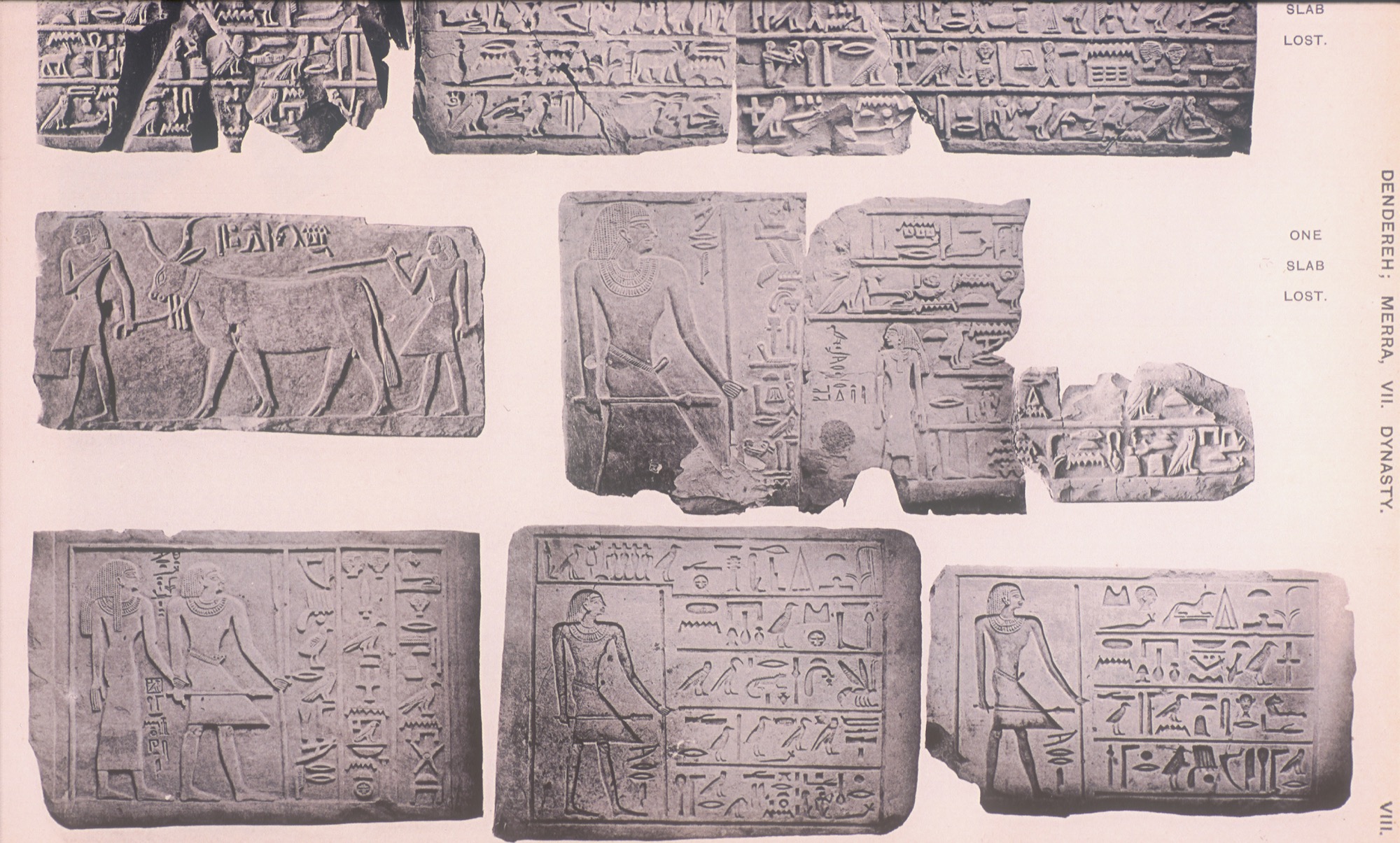 Reliefs from tomb of Mereri.
